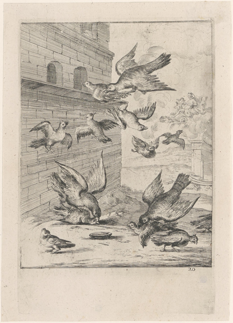 De duiven en de valken (de fabels van Aesopus)
