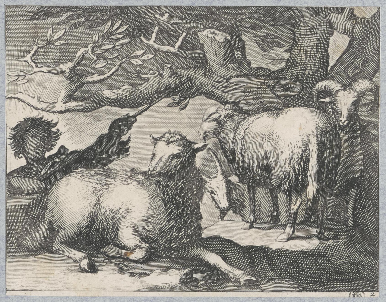 Herder met schapen bij opkomende zon