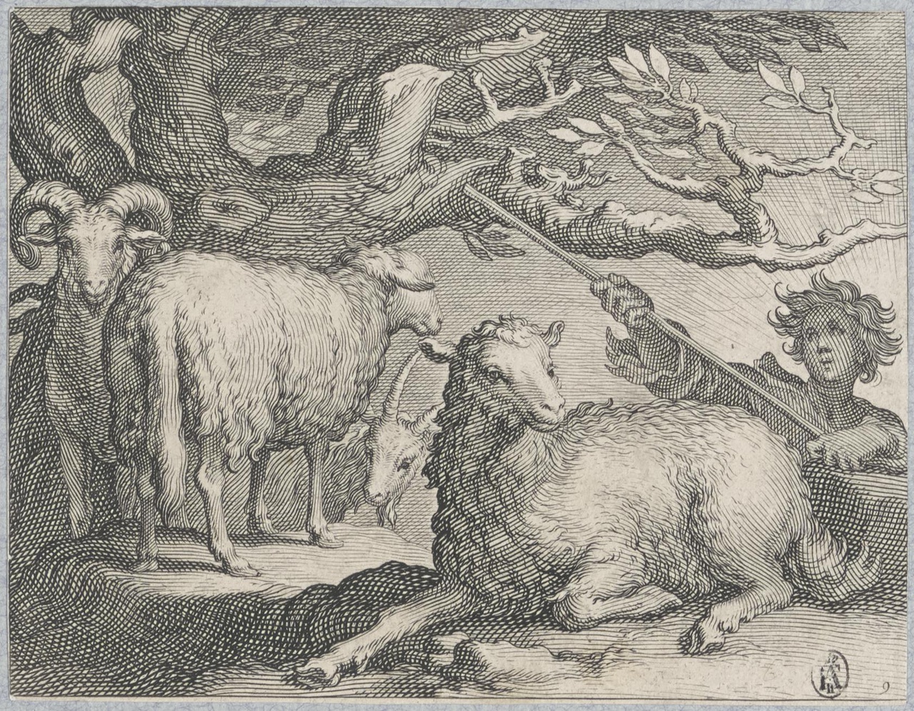 Herder met schapen