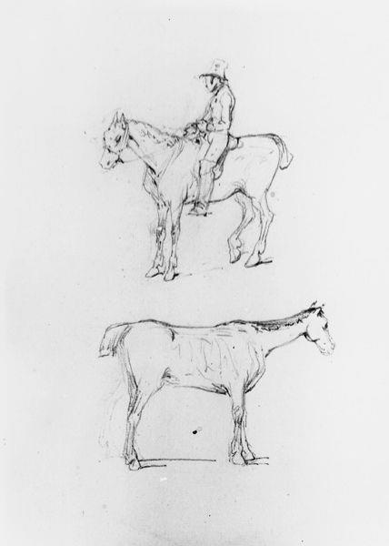 Studieblad met twee paarden