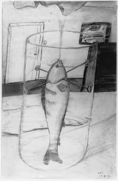 Het fontijnvisje