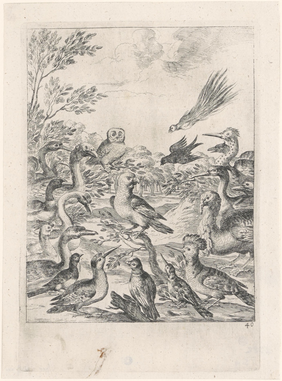 Het parlement der vogels (de fabels van Aesopus)
