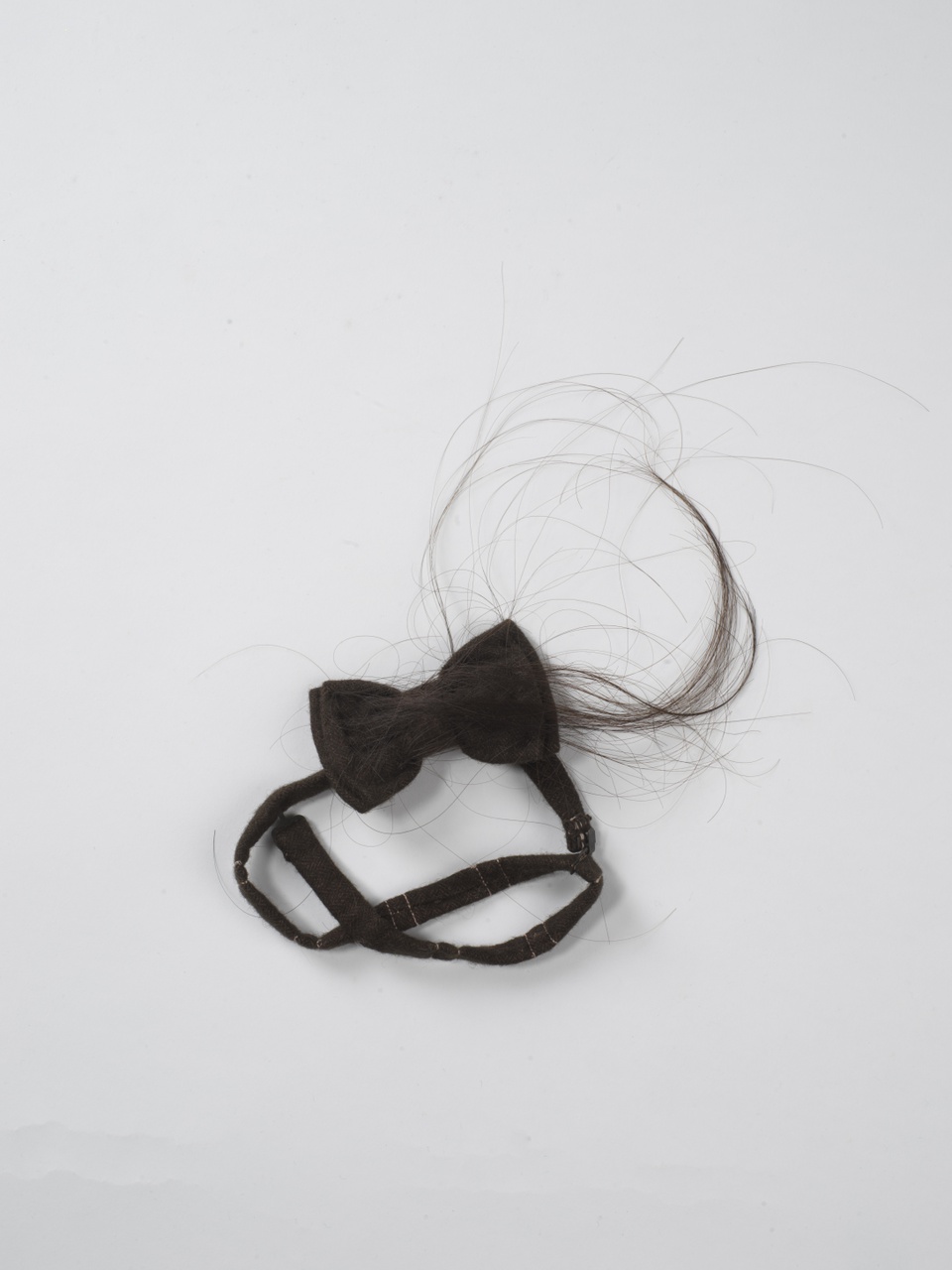 Project 000 - 004 Hypertrichosis bow tie 2.0