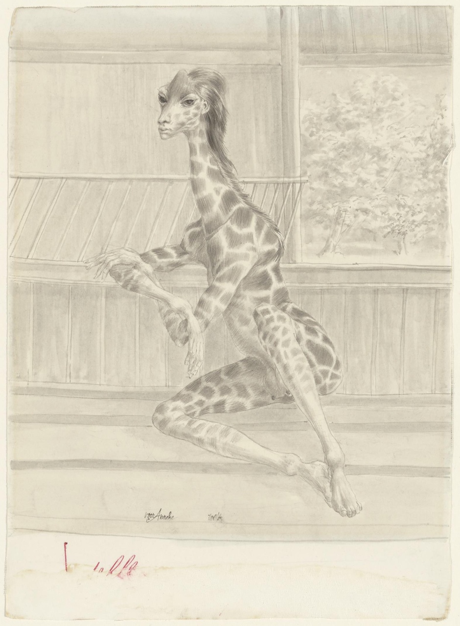 Giraffe-vrouw