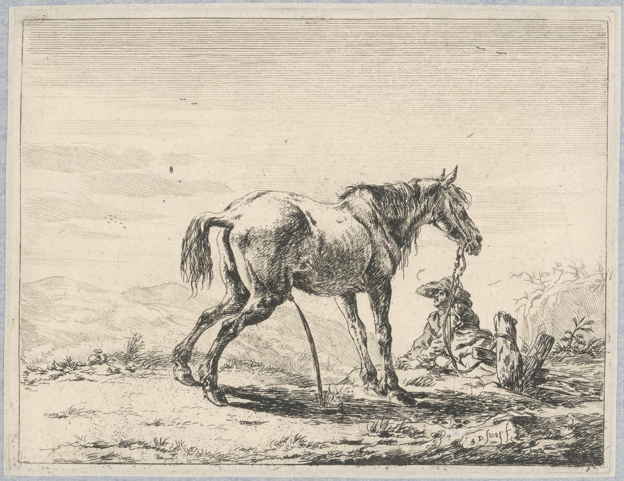 Paard aan een paal gebonden, waterend