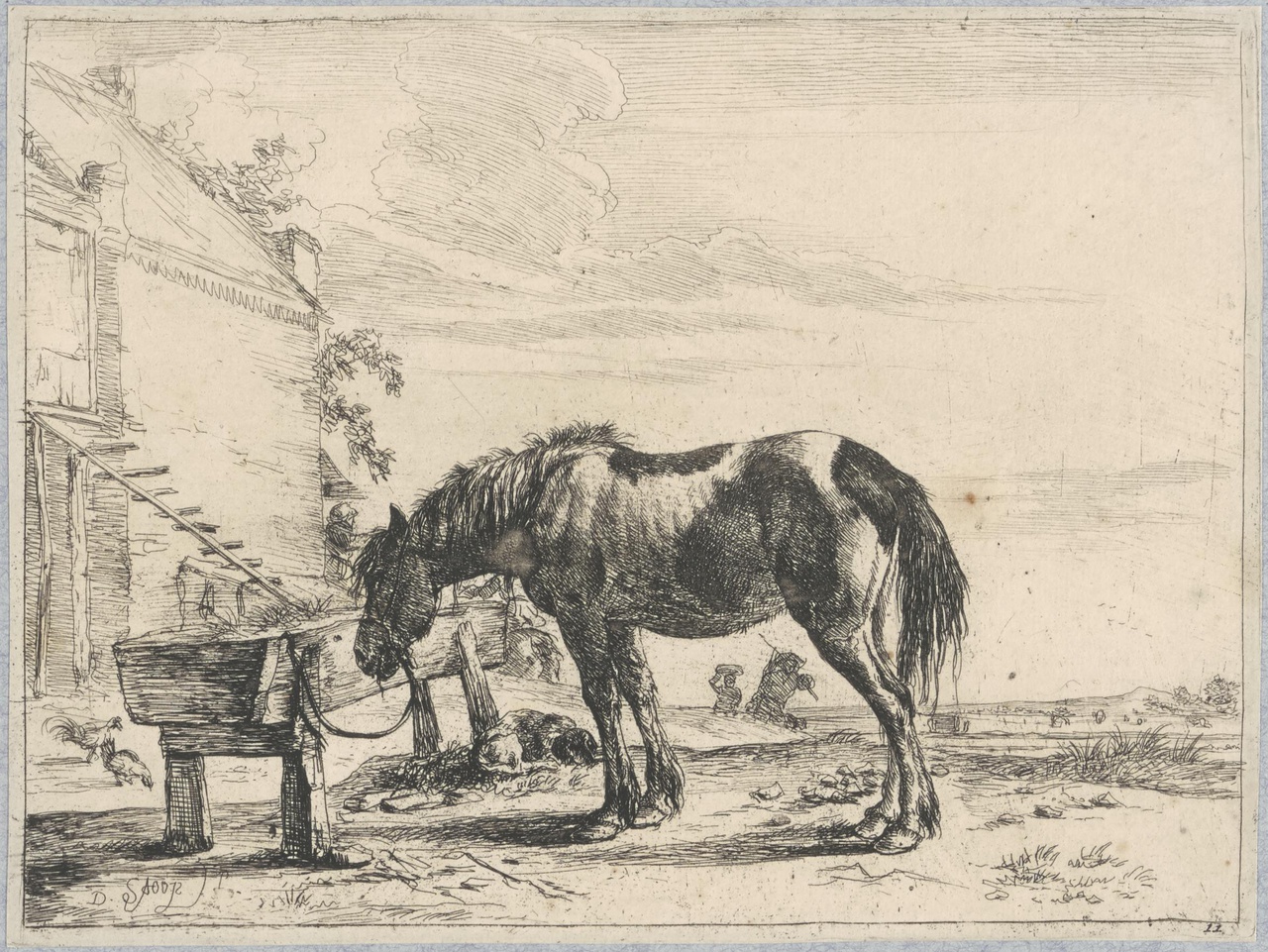 Paard aan een drinkbak bij een boerderij