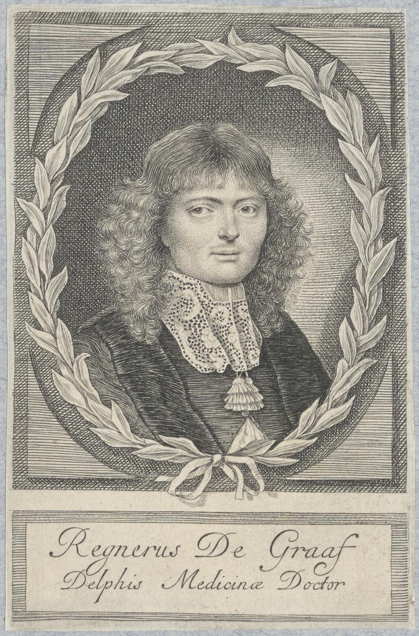 Portret van Regnerus de Graaf (1641-1673)