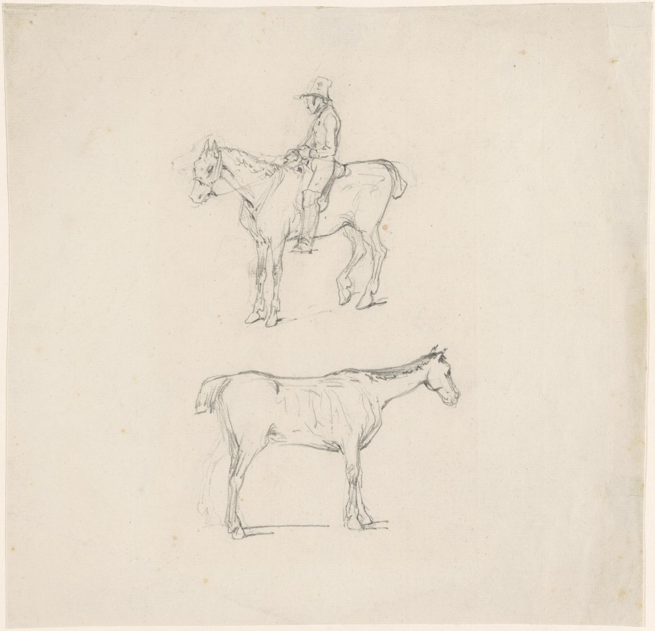 Studieblad met twee paarden