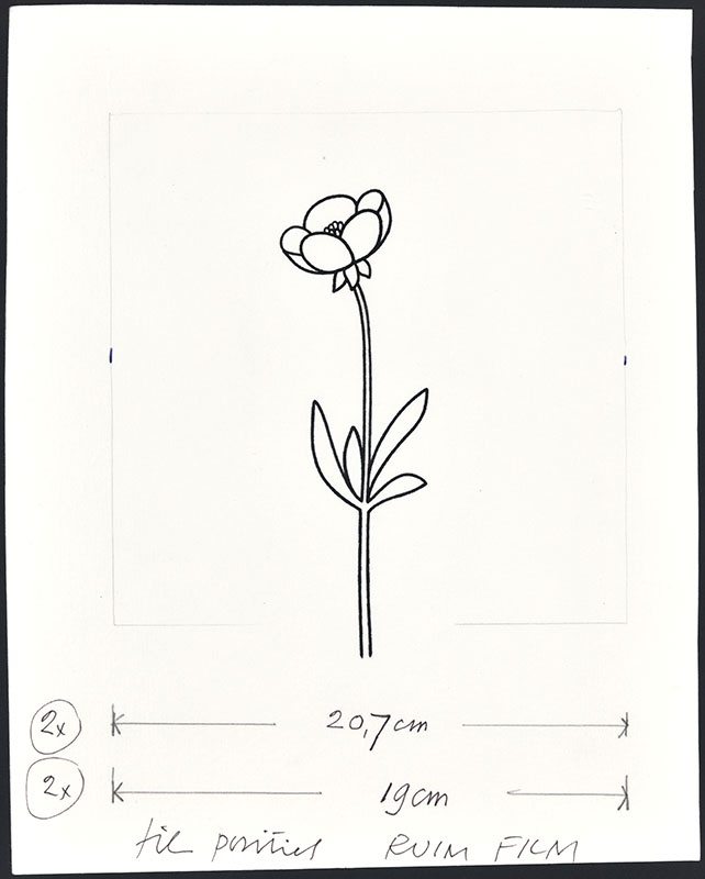 bloemenboek [p. 13; boterbloem]