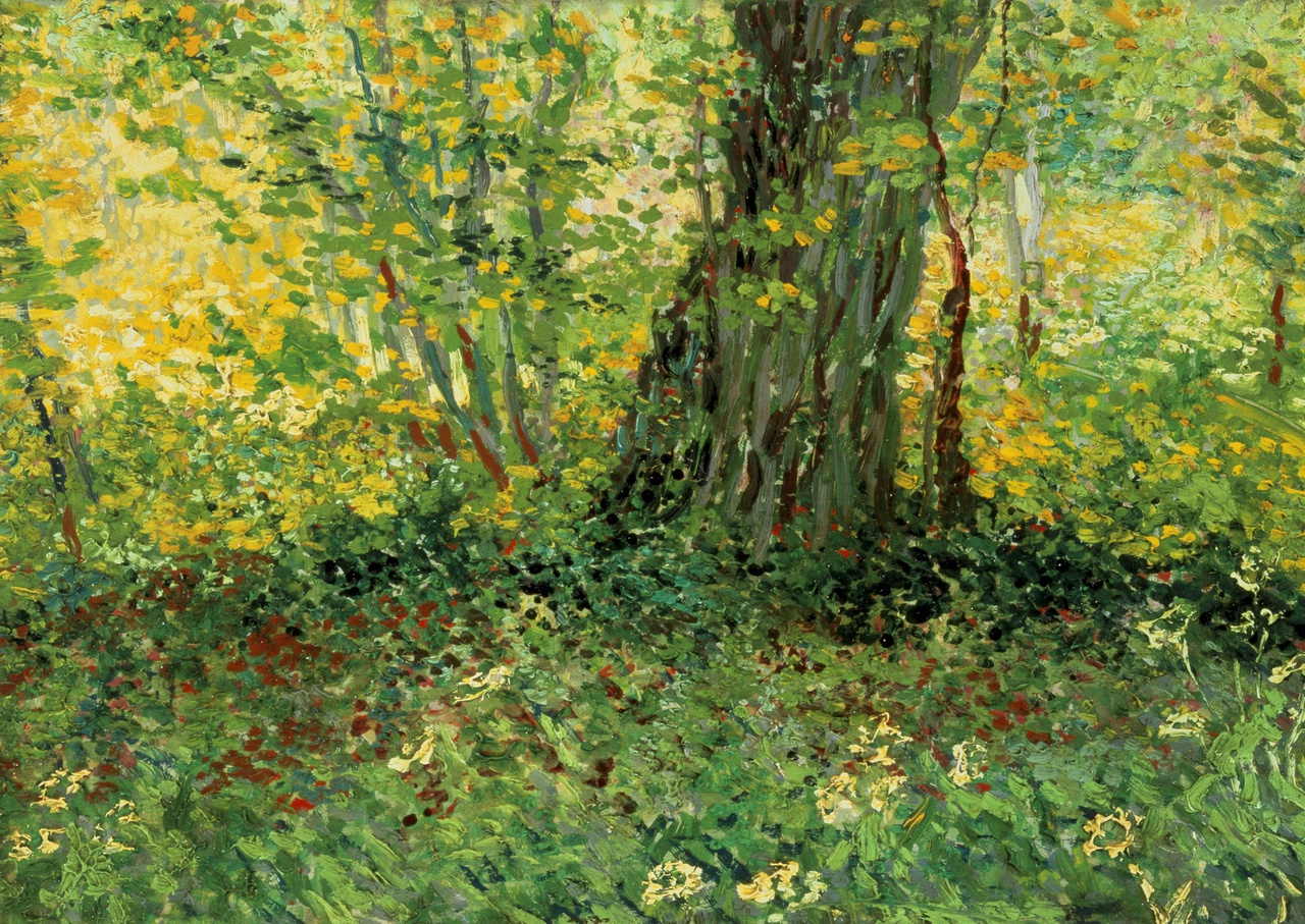 1/2 - Aflevering één van Kunst Centraal gaat over dit schilderij: Sous-Bois, geschilderd door Vincent van Gogh in 1887.