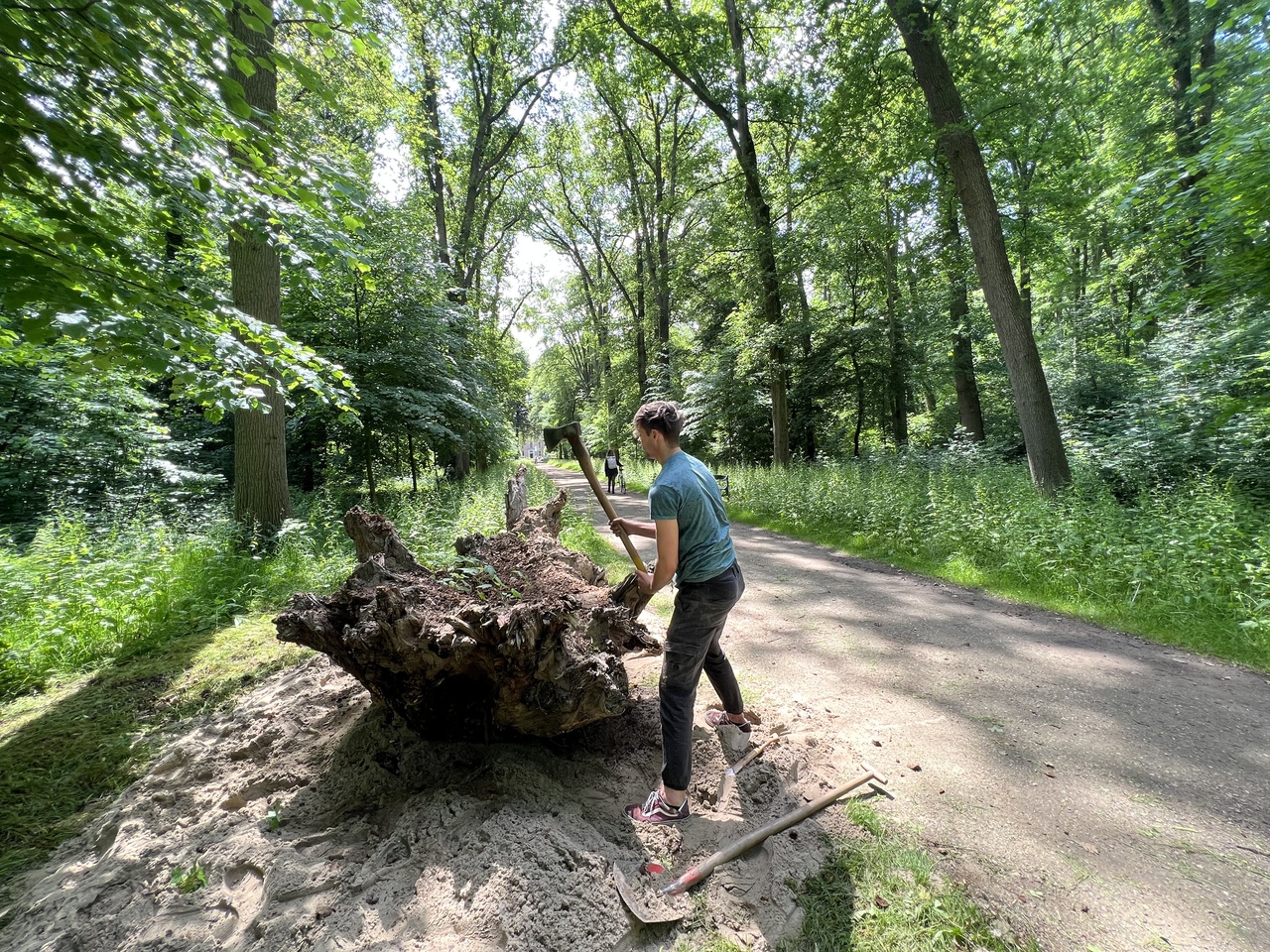 HKU-student Guus Holtman werkt langs de Beeldenlaan aan zijn sculptuur op basis van een boomstronk.