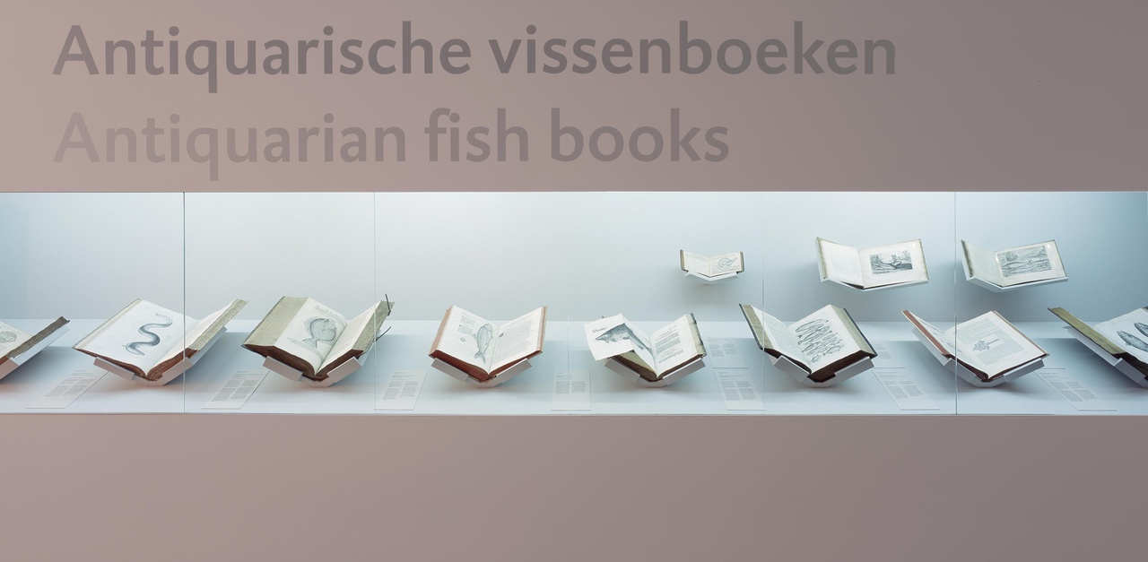 Antiquarische visboeken